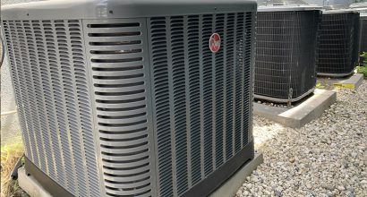 frognmonkey1 frognmonkey1